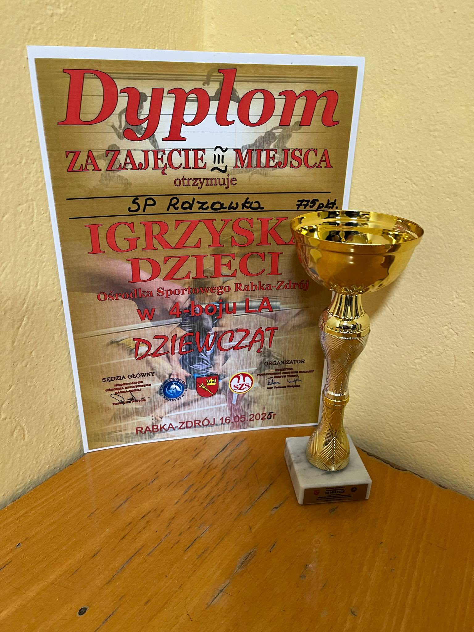 Strona Główna
