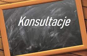 Konsultacje